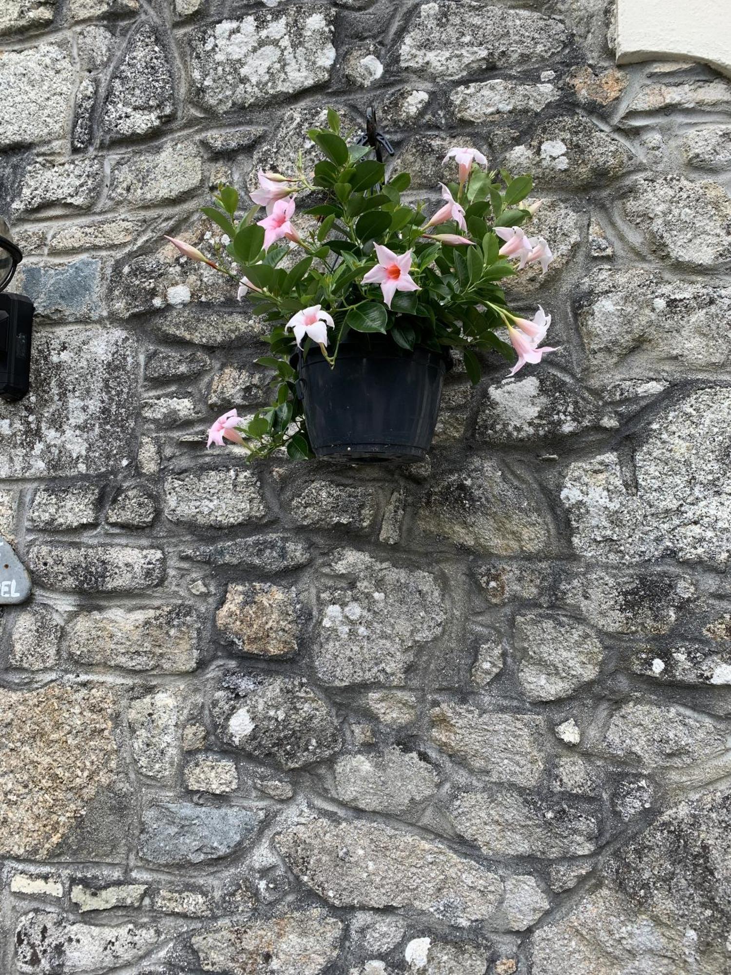 The Chapel Guest House St Austell Kültér fotó