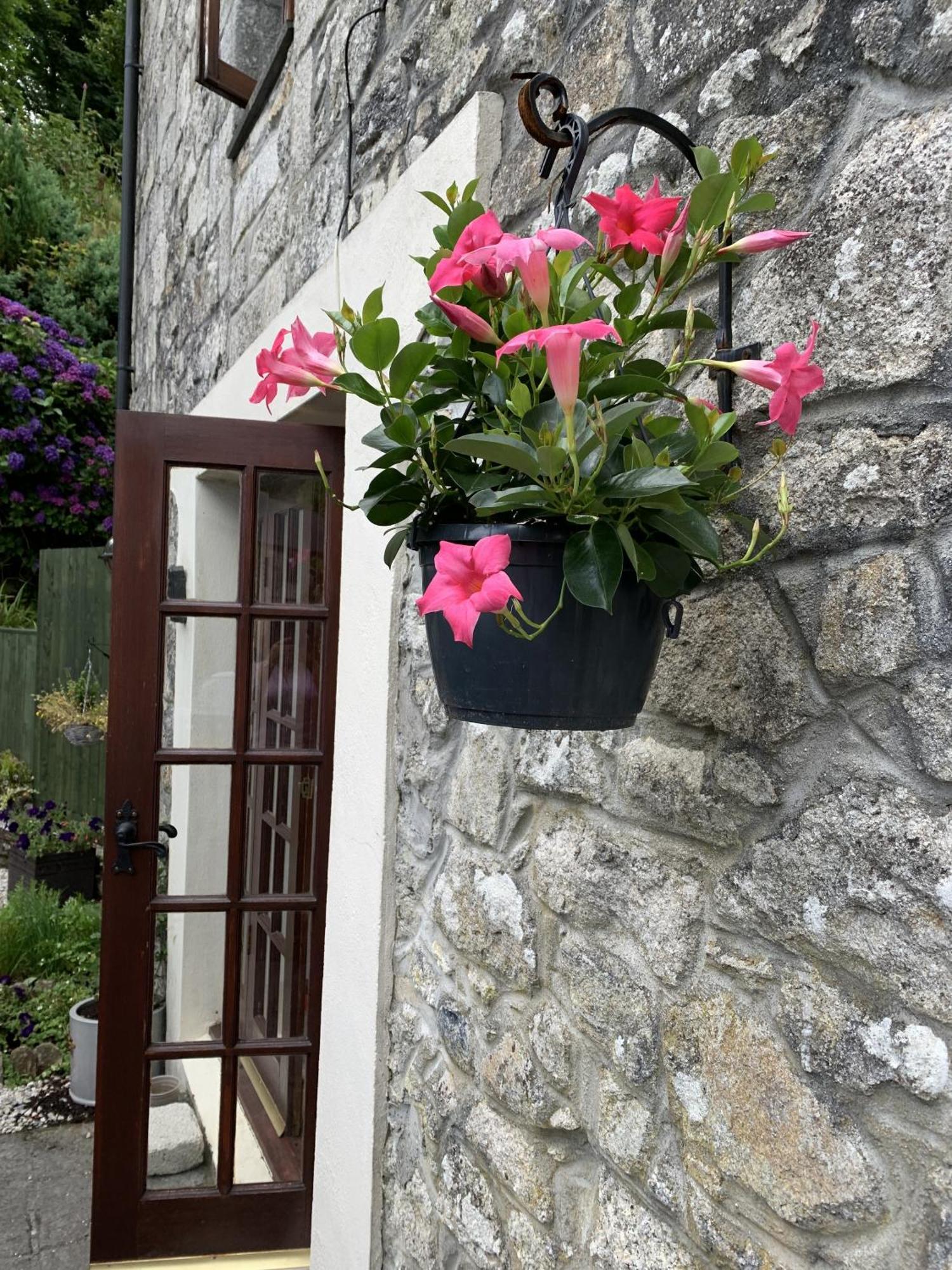 The Chapel Guest House St Austell Kültér fotó